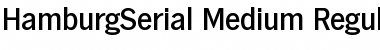 HamburgSerial-Medium Regular Font