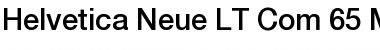 Helvetica Neue LT Com 65 Medium