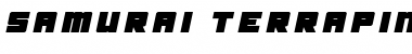 Samurai Terrapin Title Italic Italic Font