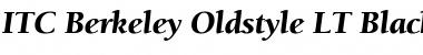 Download Berkeley LT Black Font