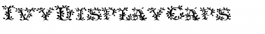 IvyDisplayCaps Font