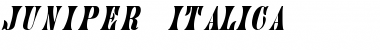 Juniper-Italic A Font