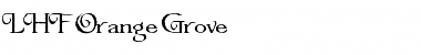 LHF Orange Grove Regular Font