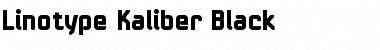 LTKaliber Black Regular Font
