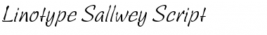 LTSallwey Script Font
