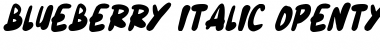 Blueberry Italic Font