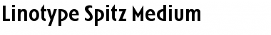 Download LTSpitz Medium Font