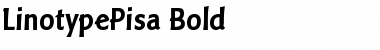 LTPisa Regular Bold Font