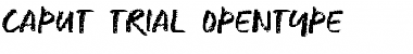 CAPUT_TRIAL Regular Font