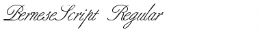BerneseScript Regular Font