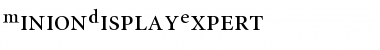 MinionDisplayExpert Roman Font