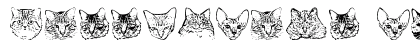 KittyPrint Regular Font KittyPrint Regular Font Preview