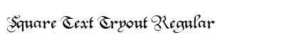 Square Text Tryout Regular font free download