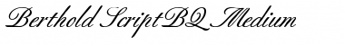 Berthold Script BQ Regular Font