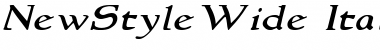 NewStyleWide RomanItalic Font