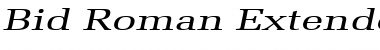 Bid Roman Extended Italic Font