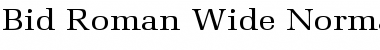 Bid Roman Wide Normal Font