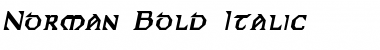 Norman Bold Italic Font