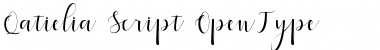 Qatielia Script Font