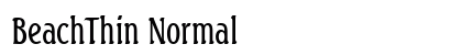 BeachThin Normal Preview