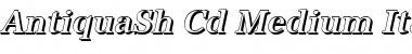 AntiquaSh-Cd-Medium Italic