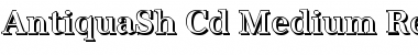 Download AntiquaSh-Cd-Medium Font