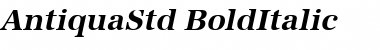 AntiquaStd BoldItalic Font