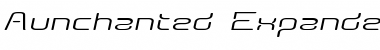 Download Aunchanted Expanded Oblique Font