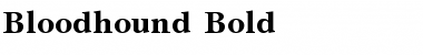 Bloodhound Bold Bold Font
