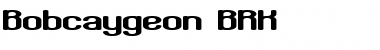 Download Bobcaygeon (BRK) Font