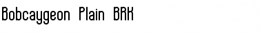 Bobcaygeon Plain (BRK) Normal Font