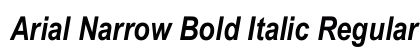 Arial Narrow Bold Italic Regular