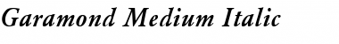Garamond Bold Italic
