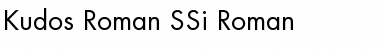 Kudos Roman SSi Roman Font